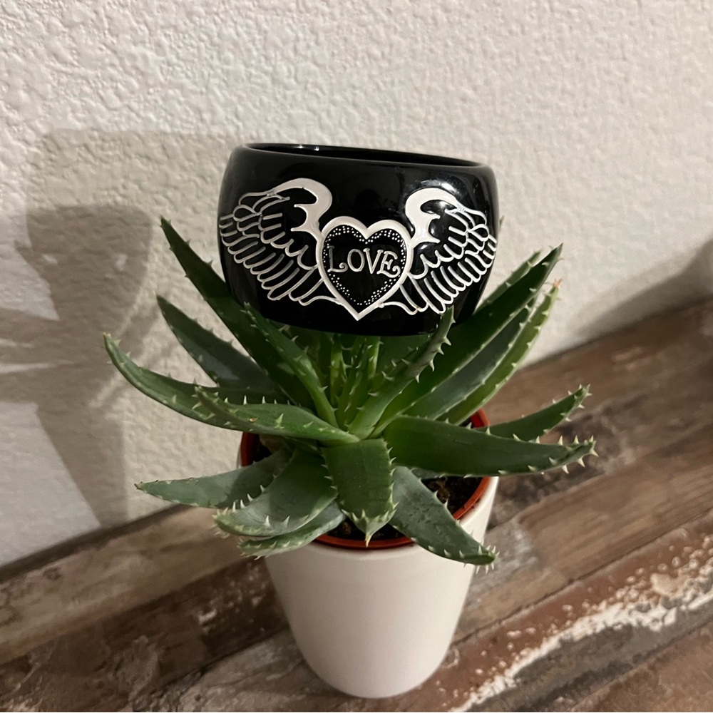 Bracelet Love Wings